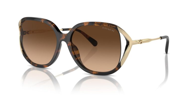 COACH HC 8396U 512074 SUNGLASS - Gallery Image