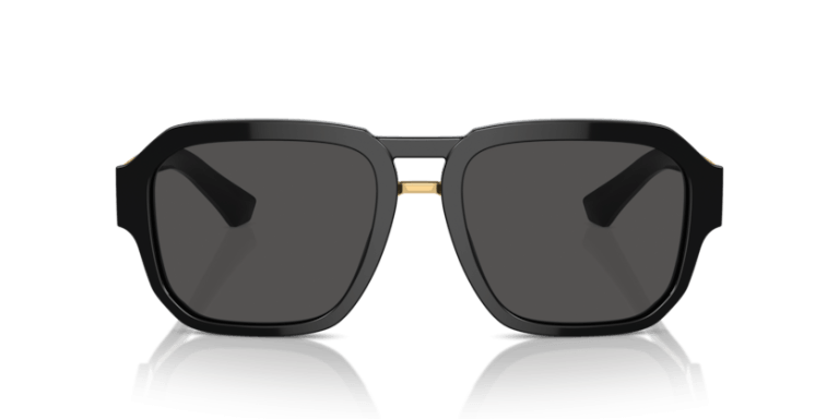 DOLCE & GABBANA 4464 501 87 SUNGLASS