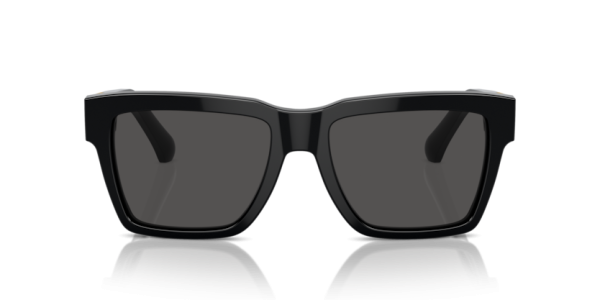 DOLCE & GABBANA 4465 501 87 SUNGLASS