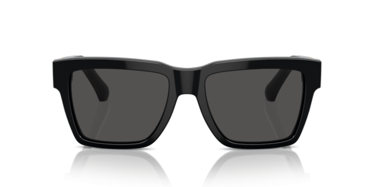 DOLCE & GABBANA 4465 501 87 SUNGLASS