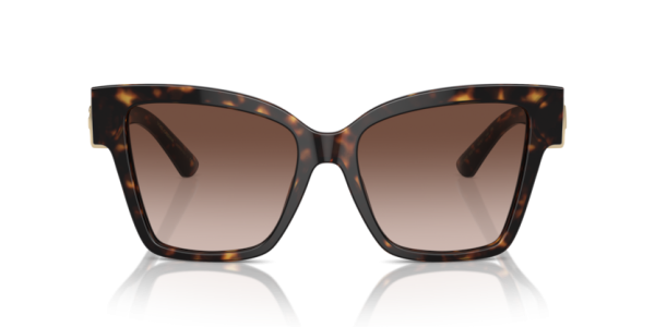 DOLCE & GABBANA 4470 502 13 SUNGLASS