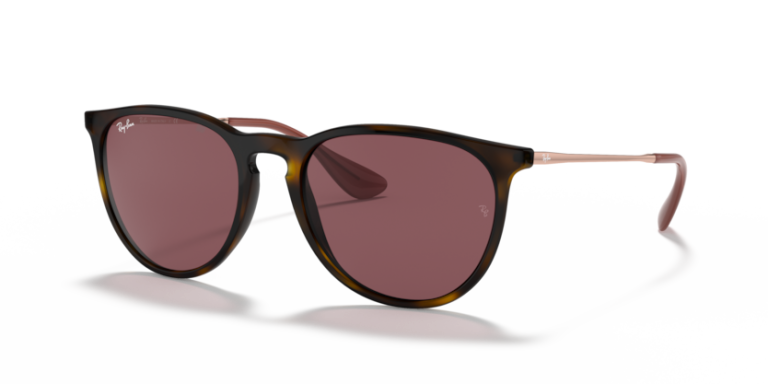 RAY BAN RB 4171 ERIKA 6391/75 SUNGLASS - Gallery Image