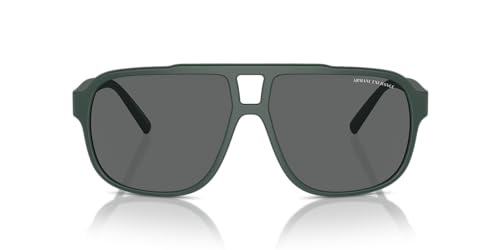ARMANI EXCHANGE AX-4104S SUNGLASS