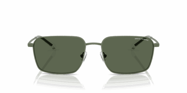 ARMANI EXCHANGE AX-2053S SUNGLASS