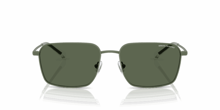 ARMANI EXCHANGE AX-2053S SUNGLASS