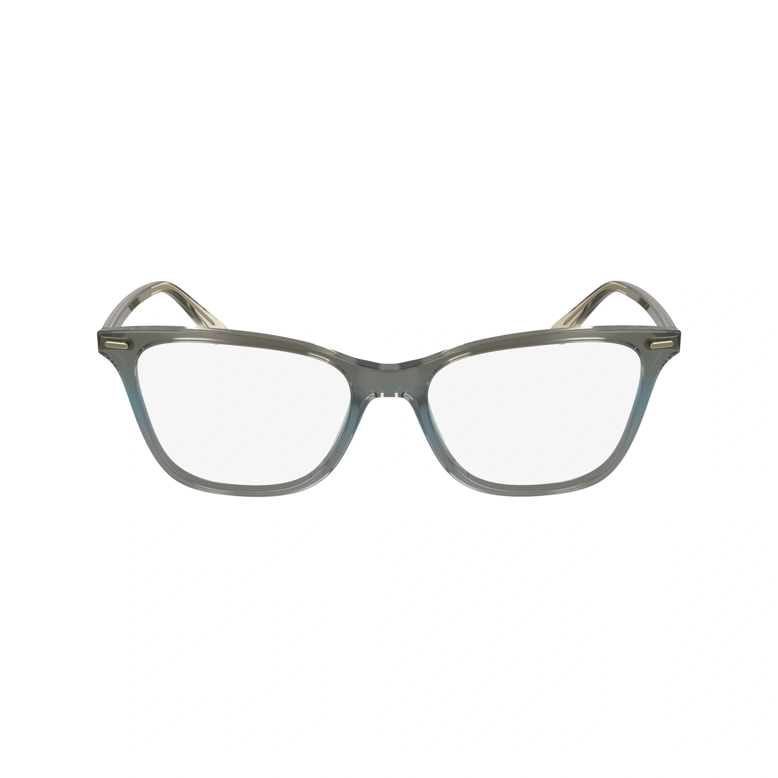 CALVIN KLEIN 23544 334 FRAME