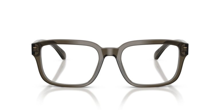 EMPORIO ARMANI EA 3255 6249 FRAME