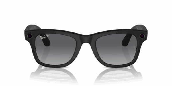 RW 4006 META WAYFARER MATTE black sunglass