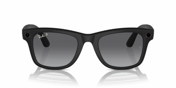 RW 4008 META WAYFARER LARGE SUNGLASS