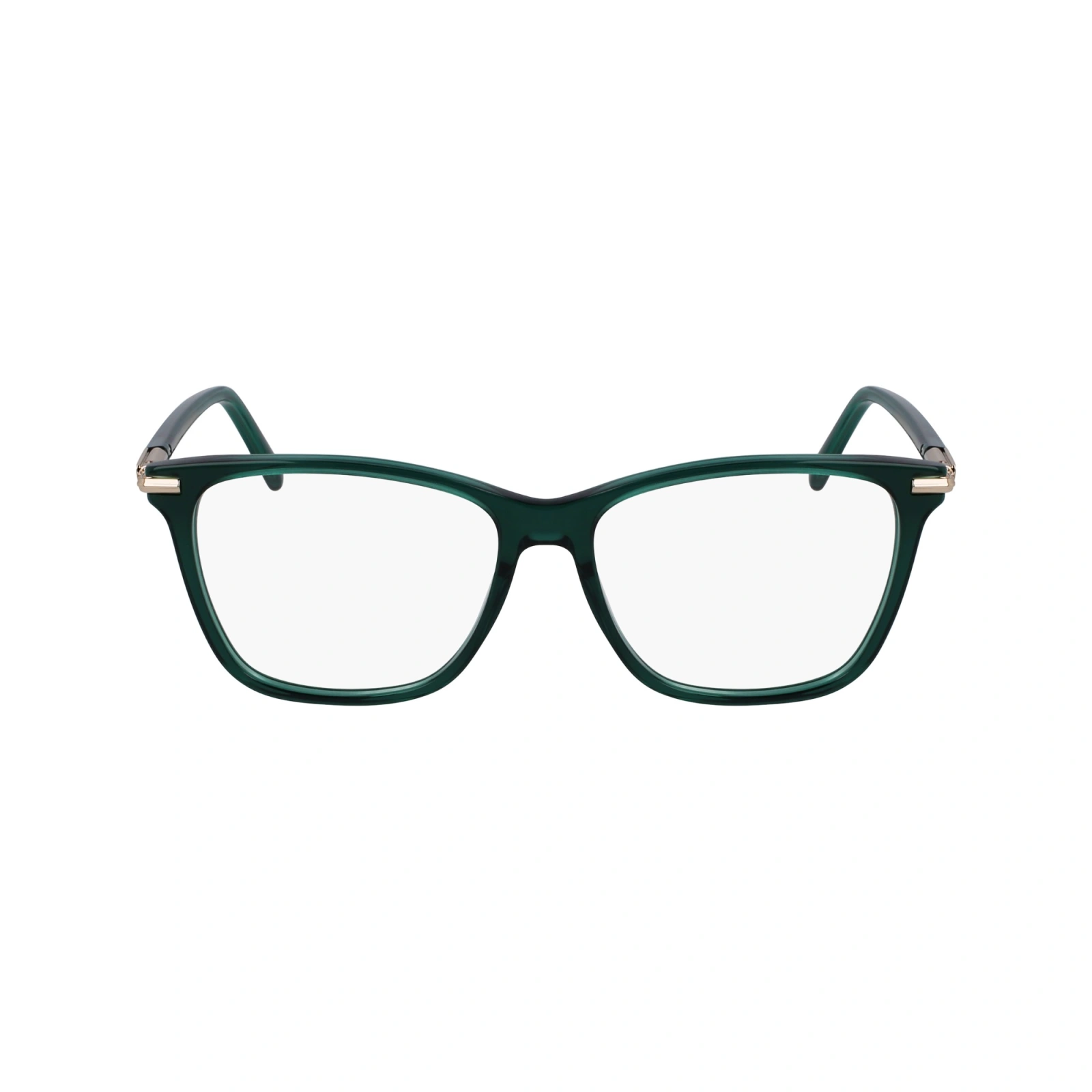 FERRAGAMO SF3013 317 FRAME