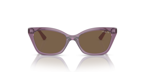 VOGUE VO 2020 306437 SUNGLASS