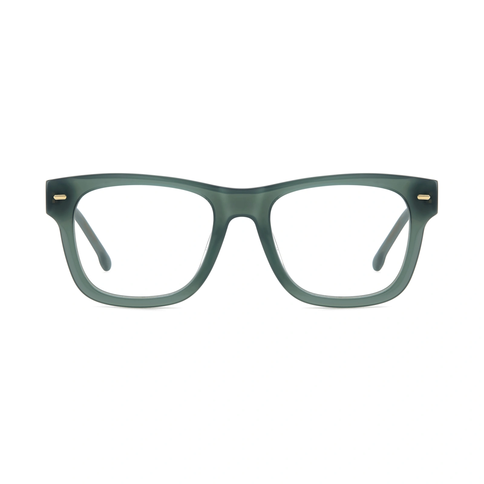 CARRERA 3021 1ED FRAME