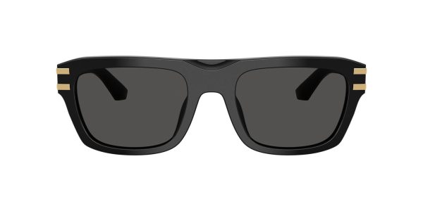 DOLCE & GABBANA 4496 501 87 SUNGLASS