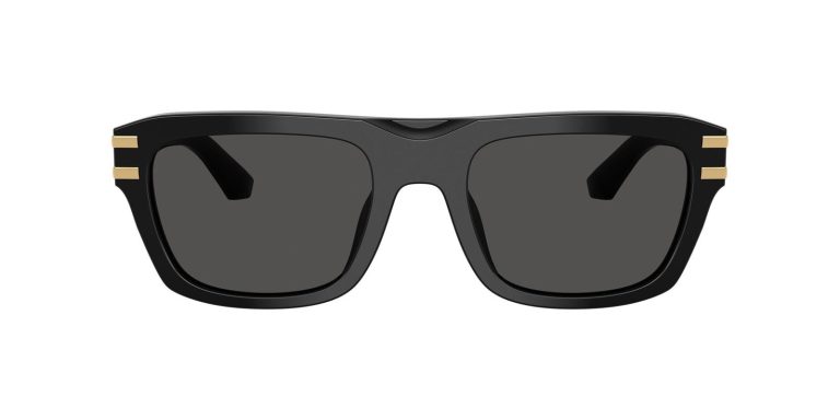 DOLCE & GABBANA 4496 501 87 SUNGLASS