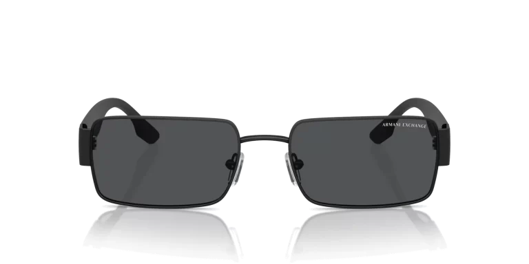 ARMANI EXCHANGE AX-2052S SUNGLASS