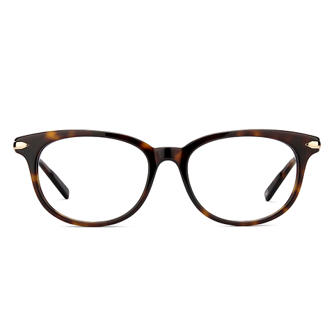 TOMMY HILFIGER TH 6150 C2 FRAME