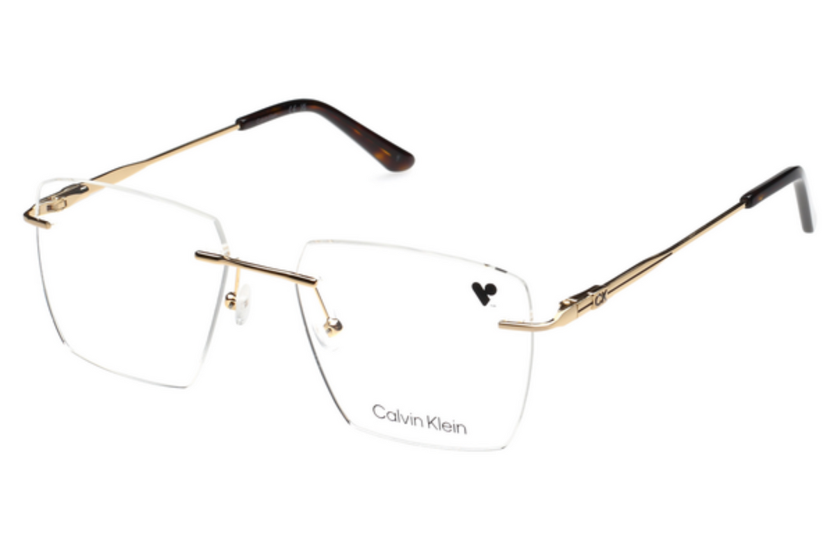 CALVI KLEIN CK 23115LBI FRAME