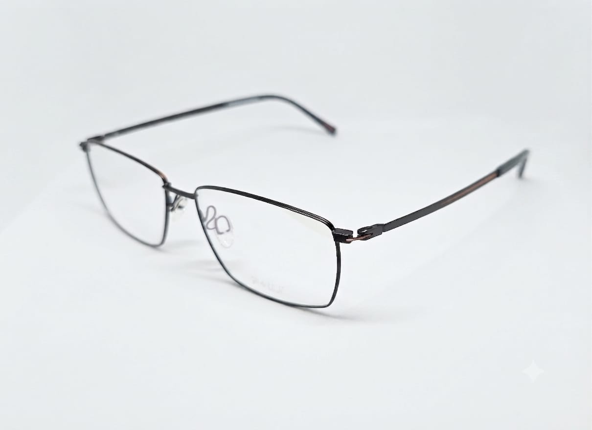 PLUS PB 07OL FRAME