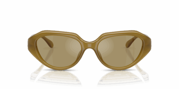 COACH HC 8433U 590230 SUNGLASS