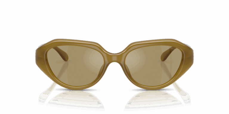 COACH HC 8433U 590230 SUNGLASS