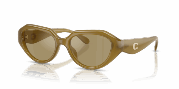 COACH HC 8433U 590230 SUNGLASS - Gallery Image