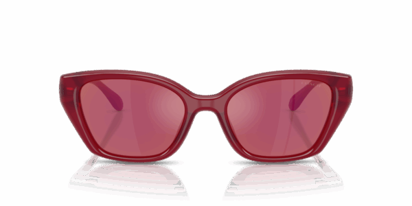 COACH HC 8434U 5526D0 SUNGLASS