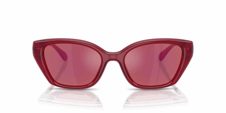 COACH HC 8434U 5526D0 SUNGLASS