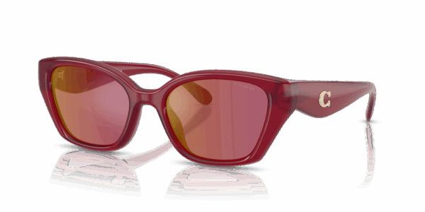 COACH HC 8434U 5526D0 SUNGLASS - Gallery Image