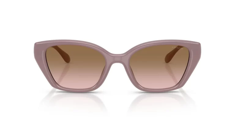 COACH HC 8434U 549511 SUNGLASS