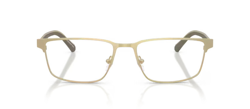 EMPORIO ARMANI EA 1175 3002 FRAME