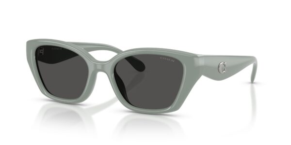 COACH HC 8434U(CBY91) 59287 SUNGLASS - Gallery Image