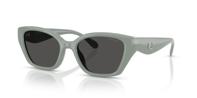 COACH HC 8434U(CBY91) 59287 SUNGLASS - Gallery Image