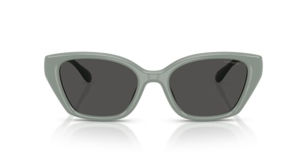 COACH HC 8434U(CBY91) 59287 SUNGLASS