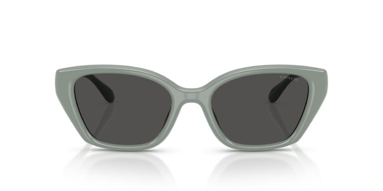 COACH HC 8434U(CBY91) 59287 SUNGLASS