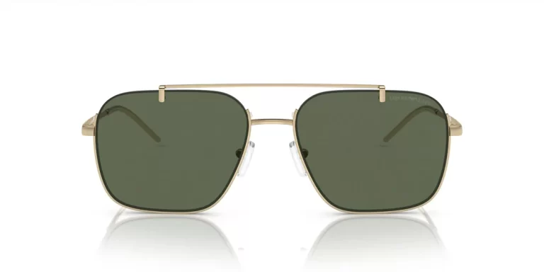 EMPORIO ARMANI EA 2150 3013/71 SUNGLASS - Gallery Image