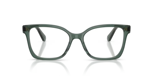 SWAROVSKI SK 2061 1043 FRAME - Gallery Image