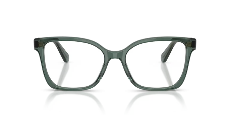 SWAROVSKI SK 2061 1043 FRAME - Gallery Image