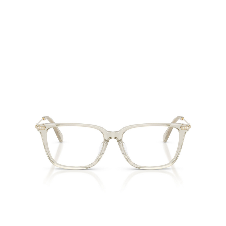 SWAROVSKI SK 2067D 3003 FRAME - Gallery Image