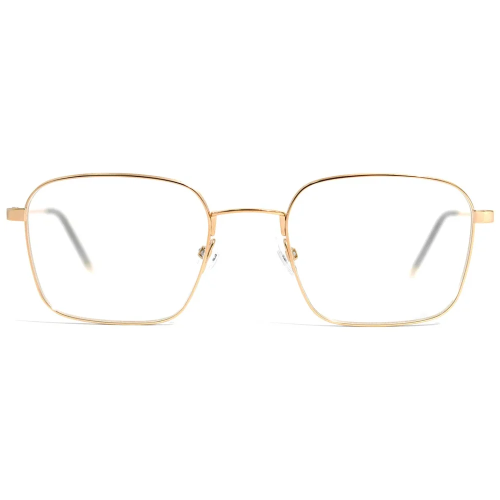 GOTTI ACY GLS 51 FRAME